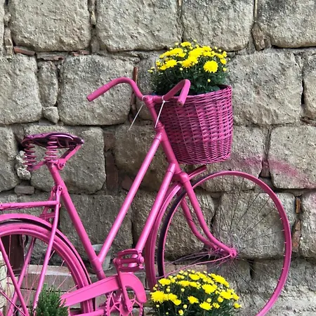 アパート Frank *